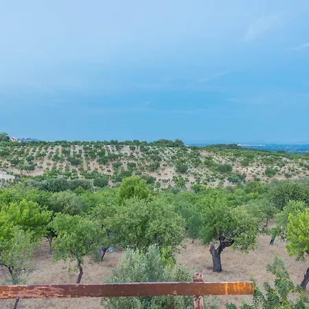 Auxella Gran Selva (Mallorca)