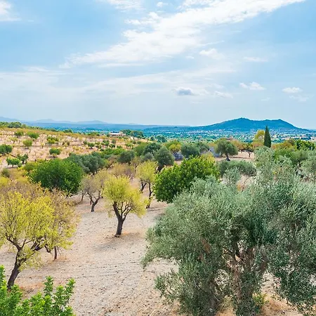 Auxella Gran * Selva (Mallorca)